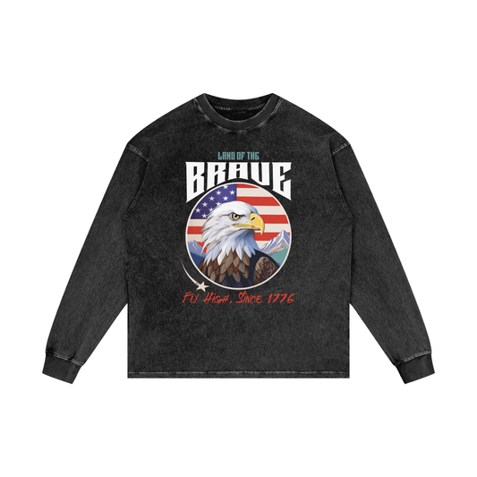 USA,Eagle,Land,Brave