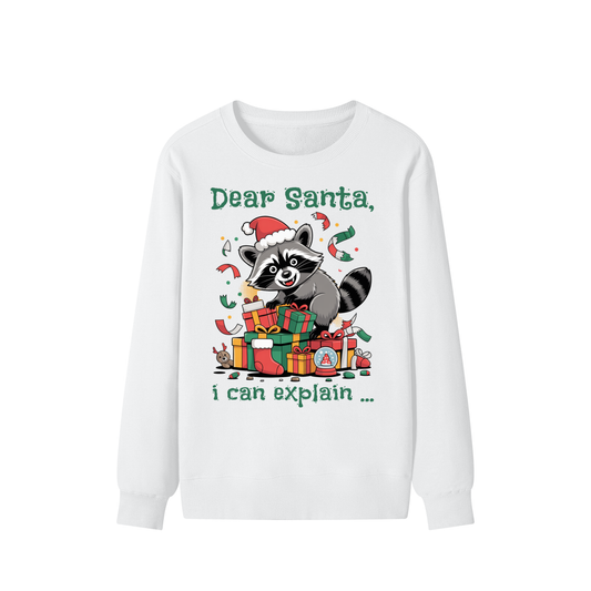 Christmas,Raccoon,Mischief,Presents