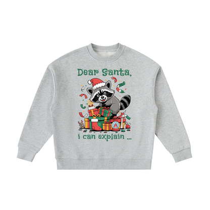 Christmas,Raccoon,Mischief,Presents,Kids