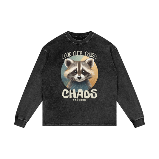 Raccoon,Cute