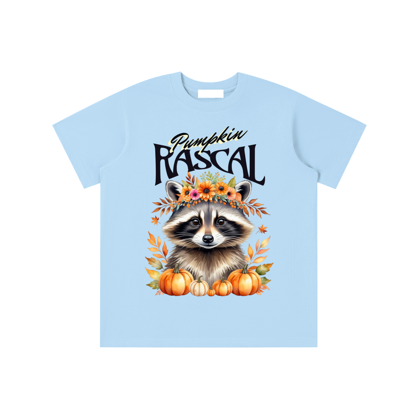 Autumn,Fall,Rascal,Raccoon,Cute