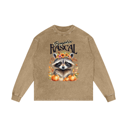 Halloween,Autumn,Fall,Raccoon,Mischief