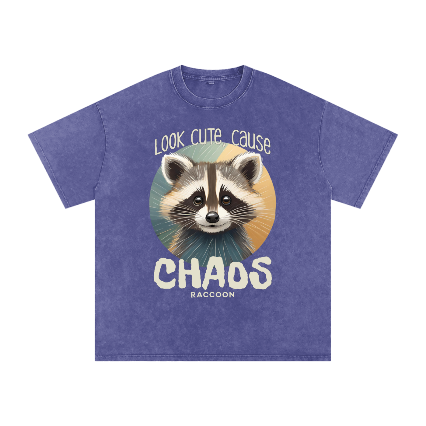 Raccoon,Cute,Chaos