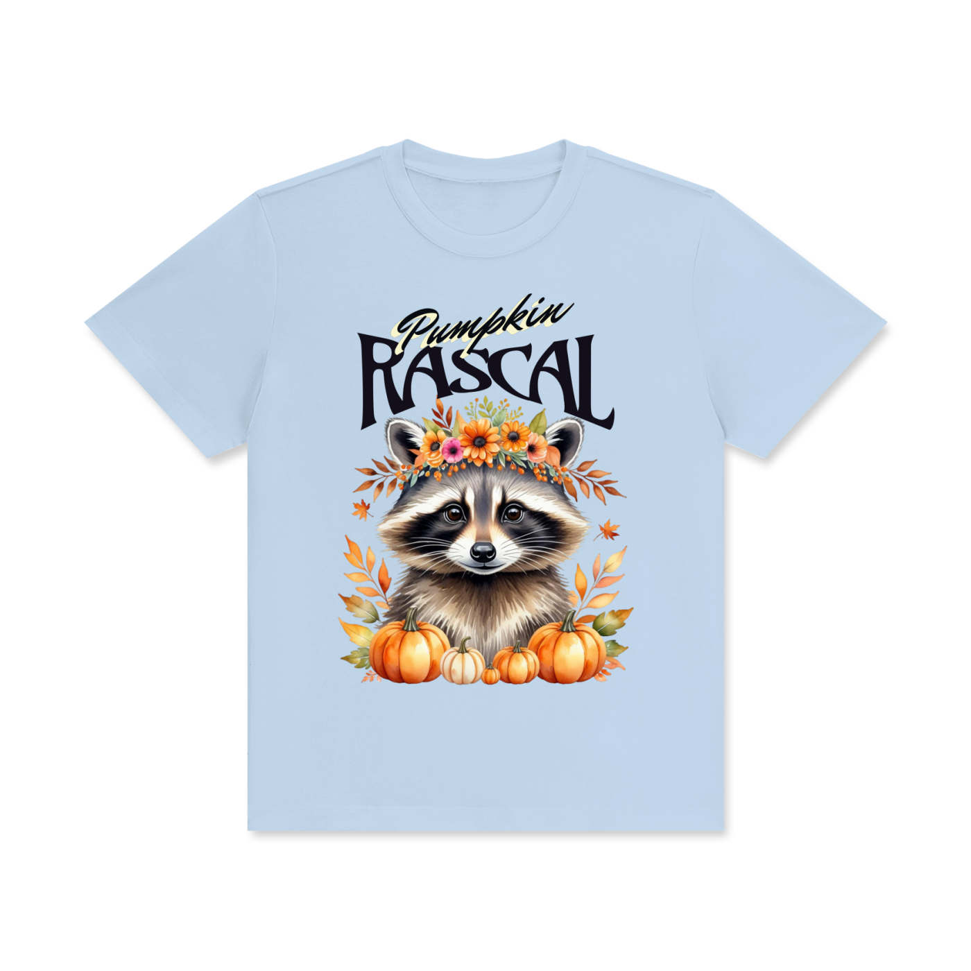 Autumn,Fall,Rascal,Raccoon,Cute