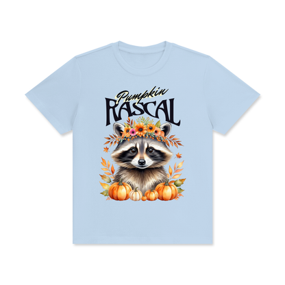 Autumn,Fall,Rascal,Raccoon,Cute