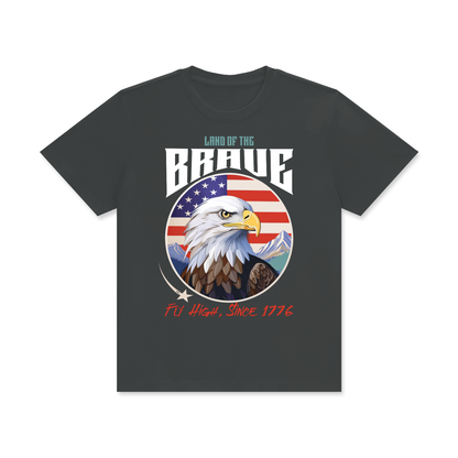 USA,Land,Brave,Eagle