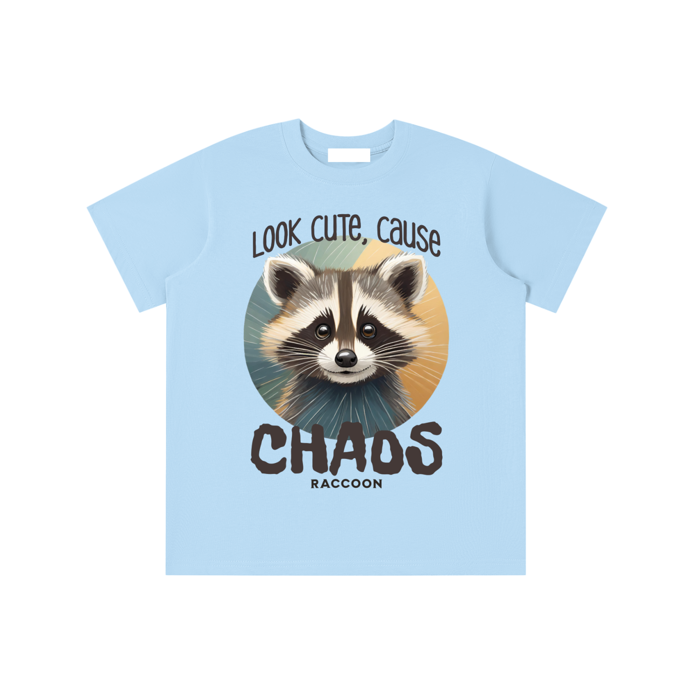 Raccoon,Cute,Chaos
