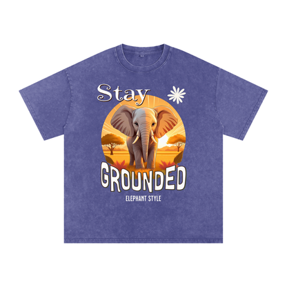 Elephant,Stay Grounded