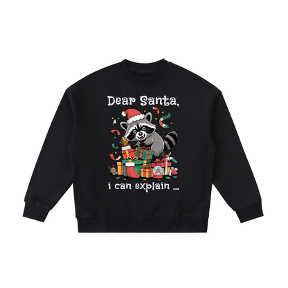 Christmas,Raccoon,Mischief,Presents,Kids