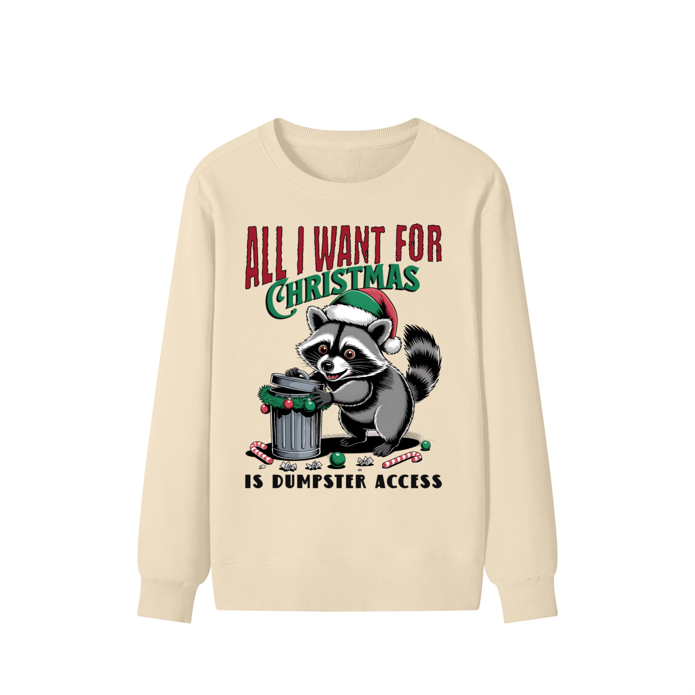 Christmas,Raccoon,Dumpster,Access