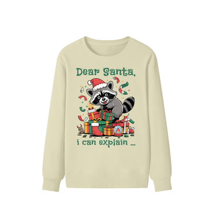 Christmas,Raccoon,Mischief,Presents