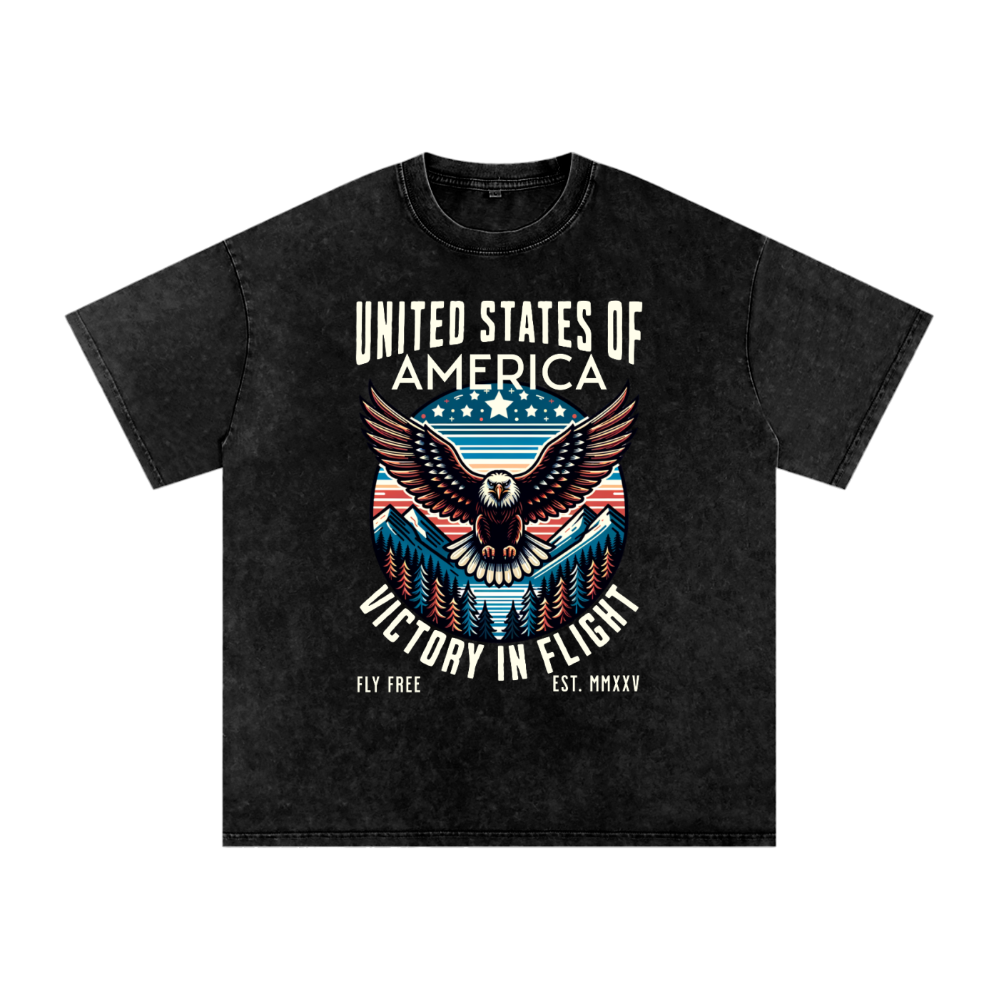 USA,Eagle,Victory,Flight