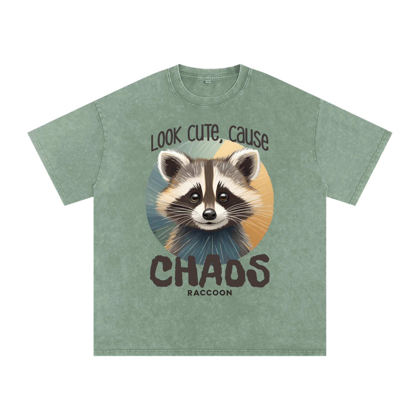 Raccoon,Cute,Chaos