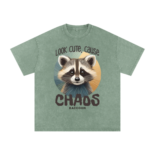 Raccoon,Cute,Chaos
