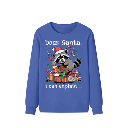 Christmas,Mischief,Raccoon,Presents