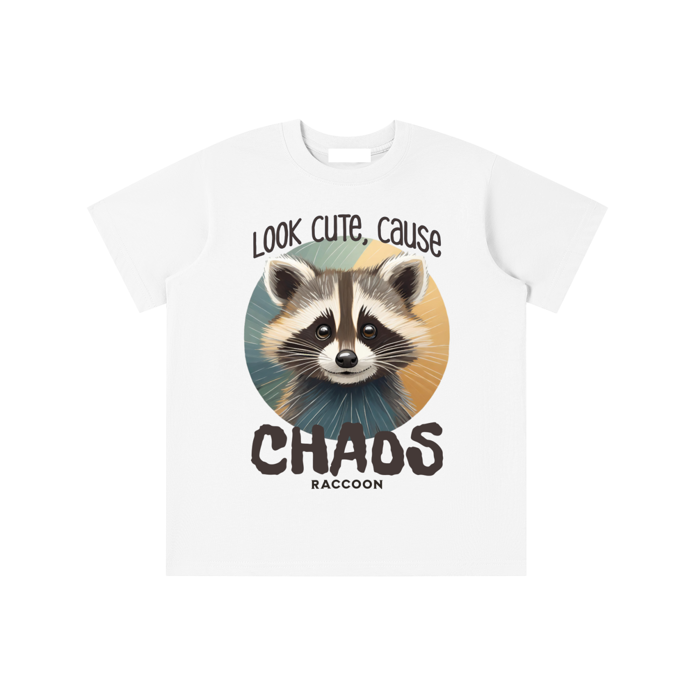 Raccoon,Cute,Chaos