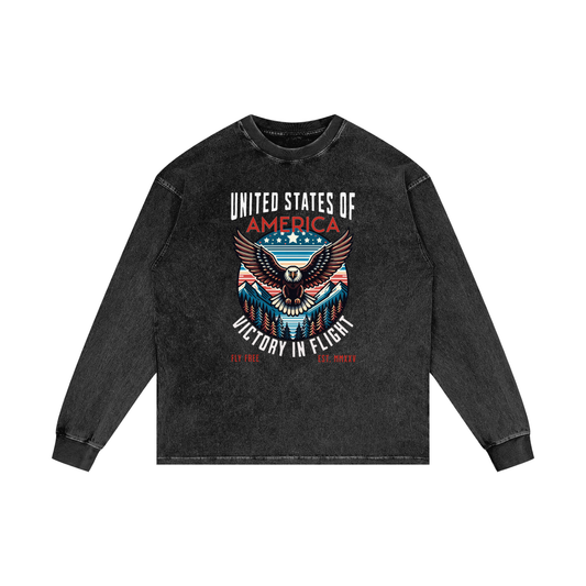 USA,Eagle,Victory,Flight