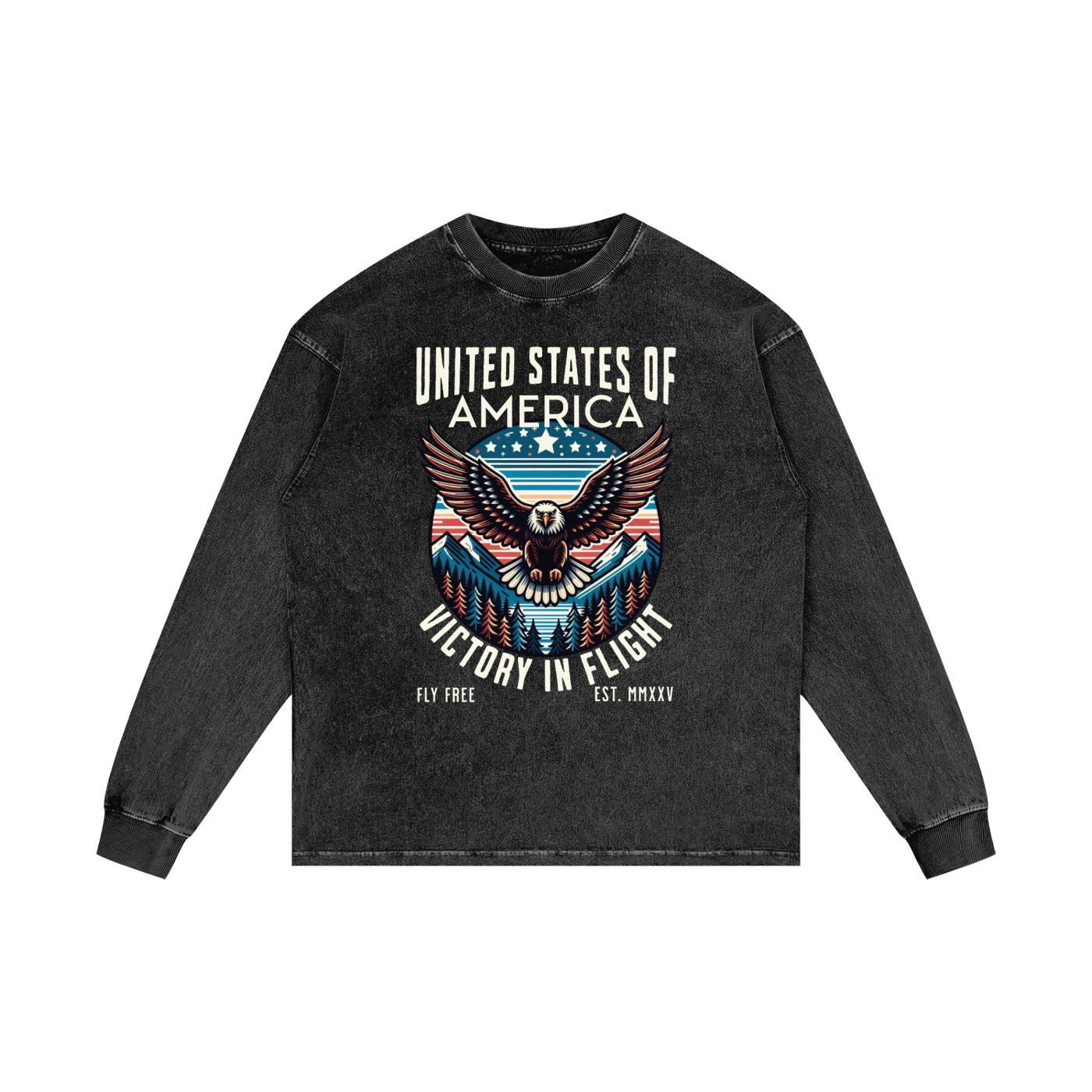 USA,Eagle,Victory,Flight