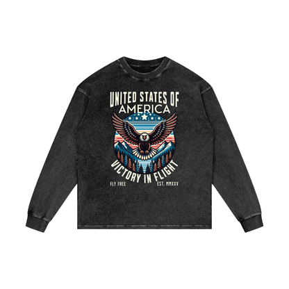 USA,Eagle,Victory,Flight