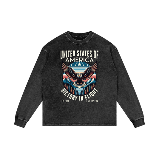 USA,Eagle,Victory,Flight