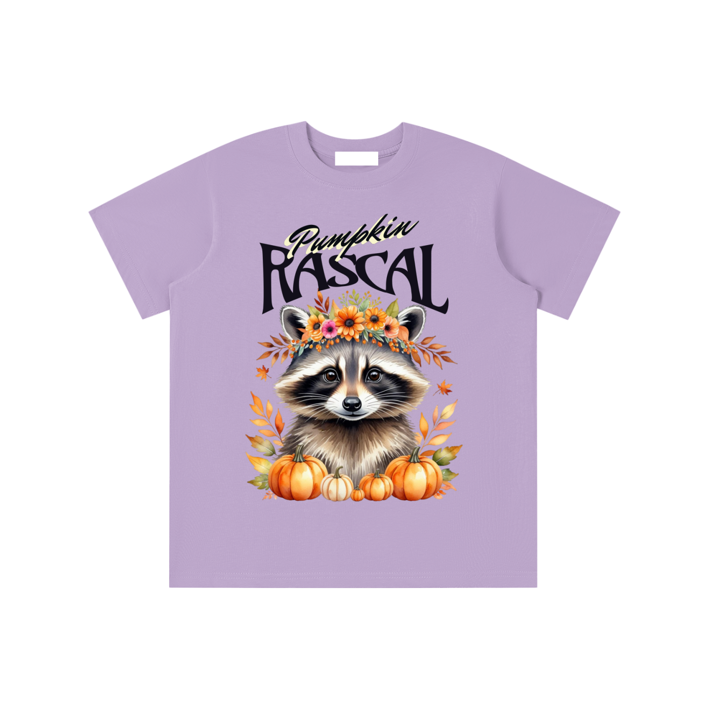 Autumn,Fall,Rascal,Raccoon,Cute