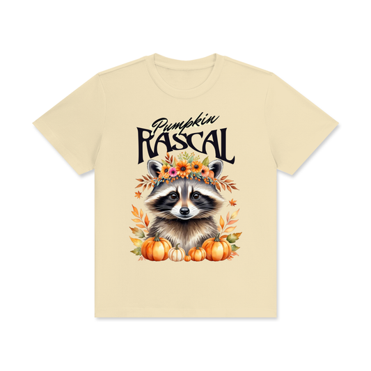 Autumn,Fall,Rascal,Raccoon,Cute