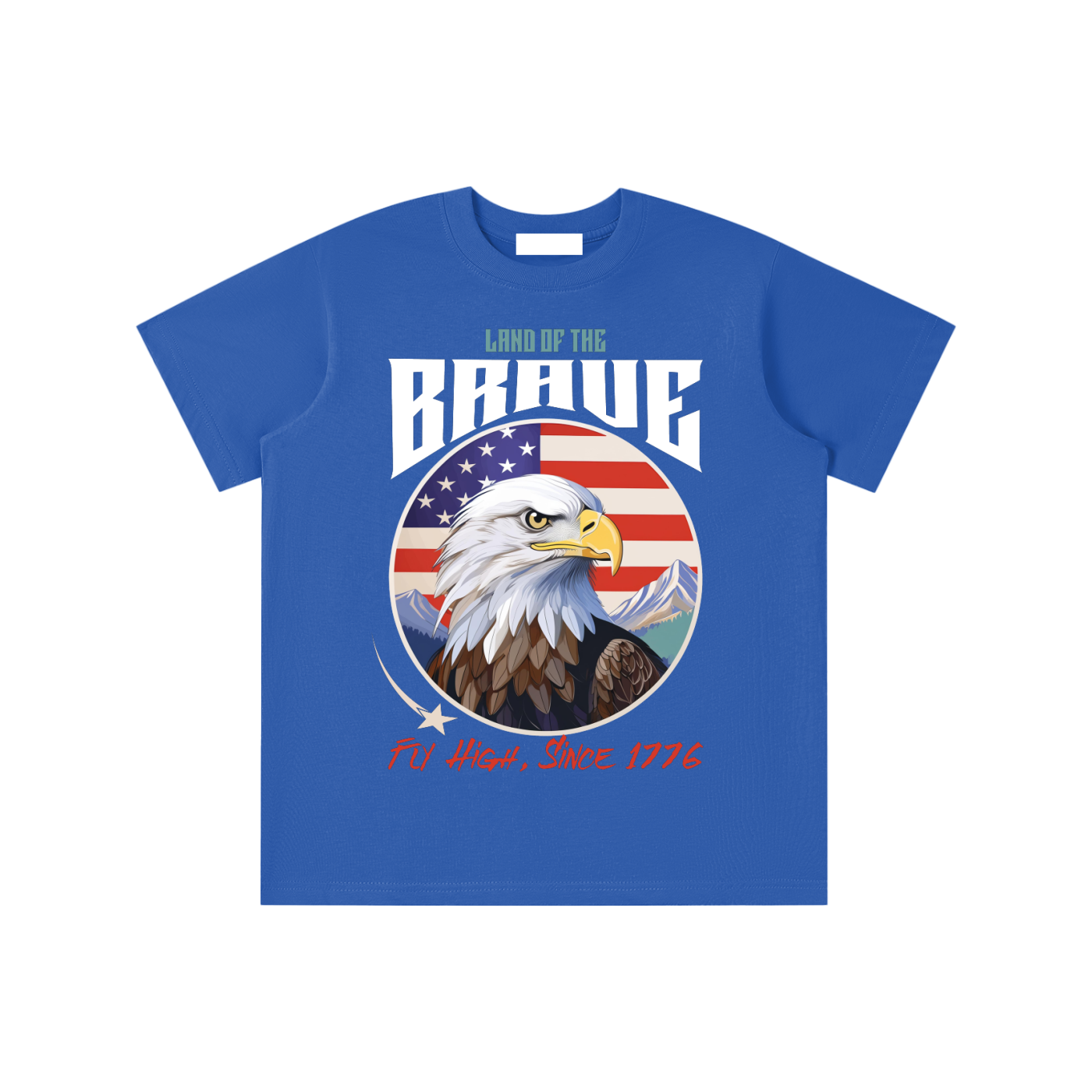 USA,Eagle,Land,Brave