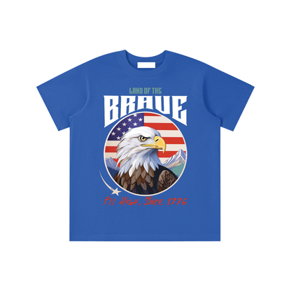 USA,Eagle,Land,Brave
