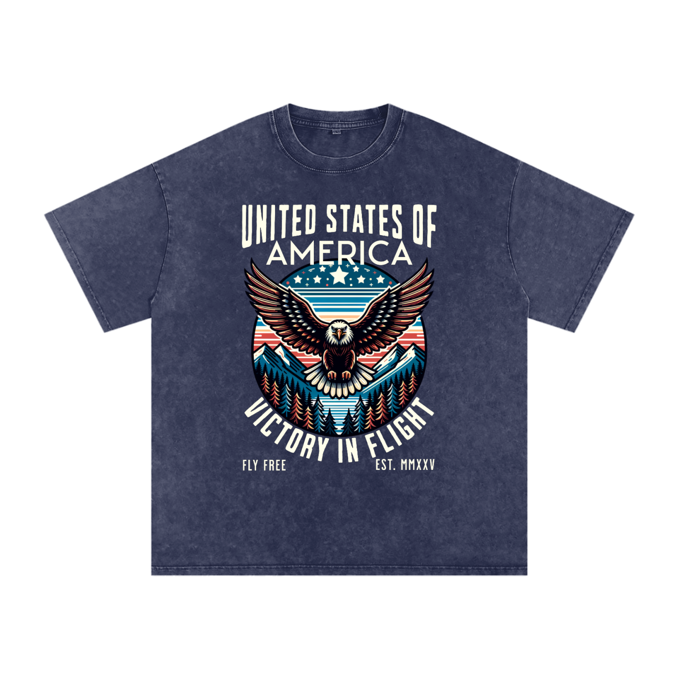 USA,Eagle,Victory,Flight