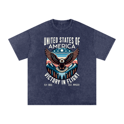 USA,Eagle,Victory,Flight