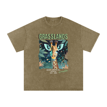Grasslands,Giraffe