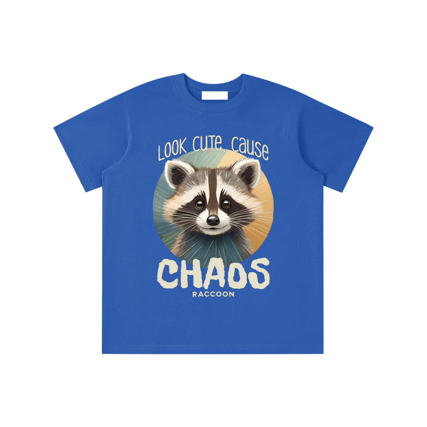 Raccoon,Cute,Chaos