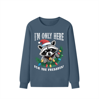 Christmas,Fun,Raccoon,Presents 