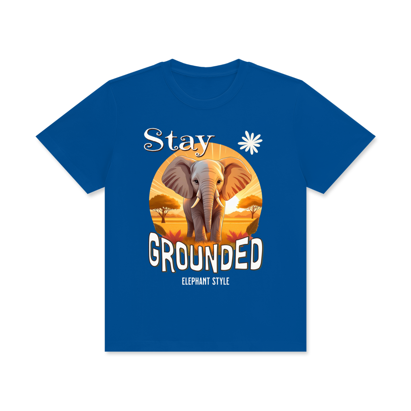 Elephant,Stay Grounded