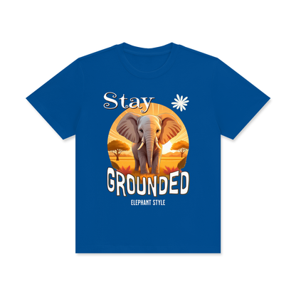 Elephant,Stay Grounded