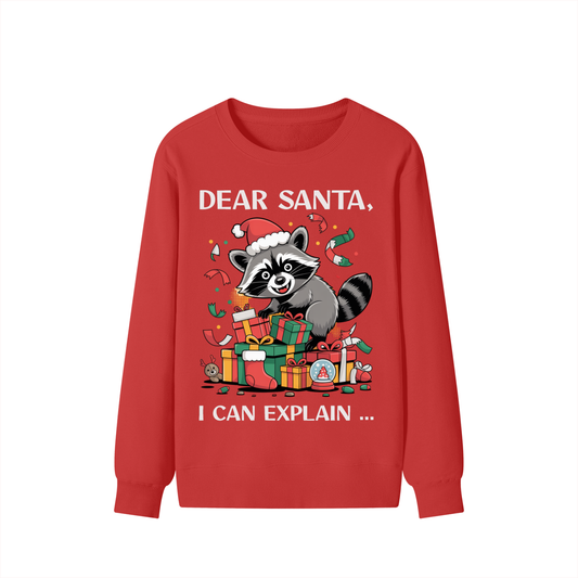 Christmas,Fun,Raccoon,Santa,Presents,Mischief