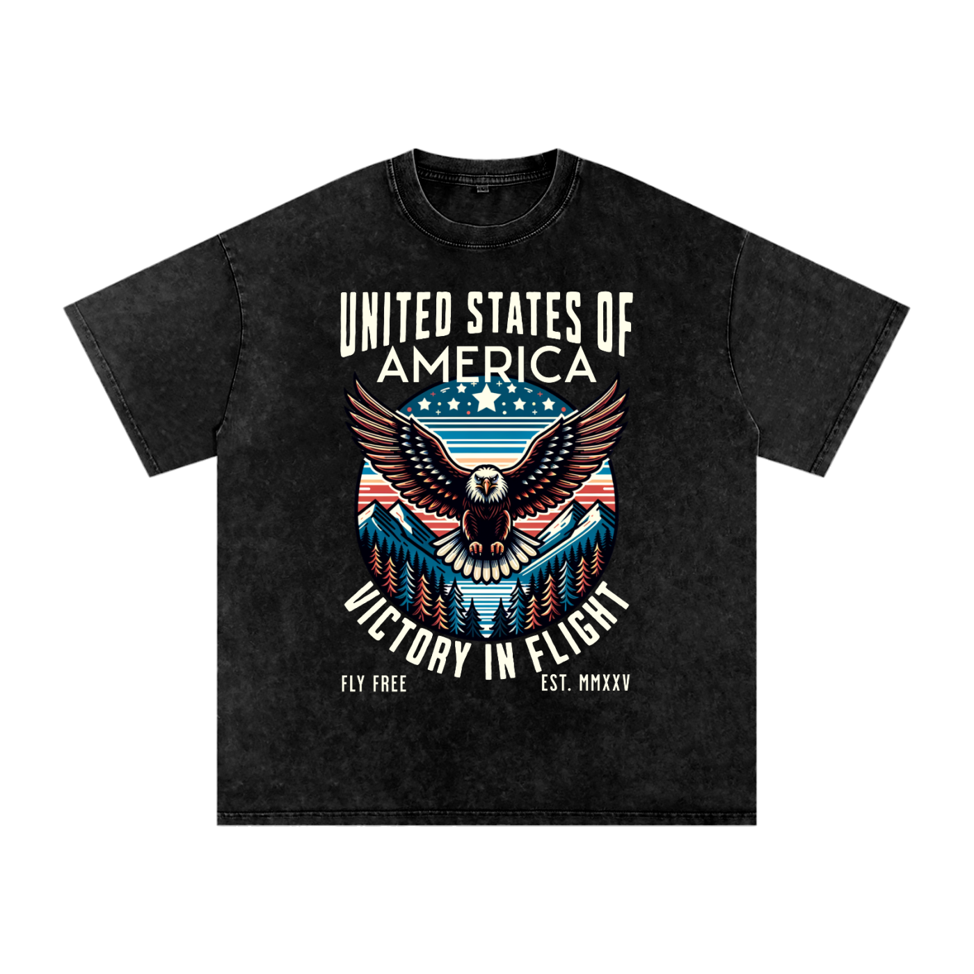 USA,Eagle,Victory,Flight