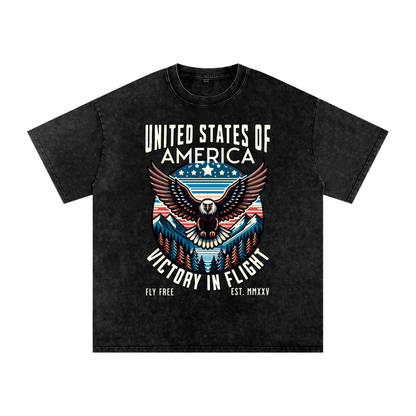 USA,Eagle,Victory,Flight