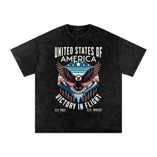 USA,Eagle,Victory,Flight