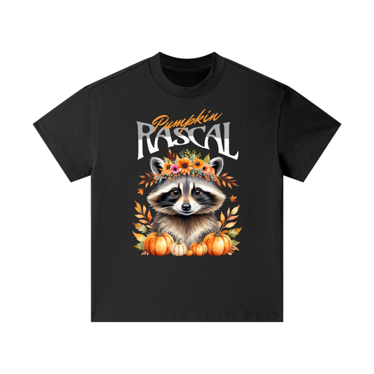 Raccoon,Pumpkin,Halloween,Nature