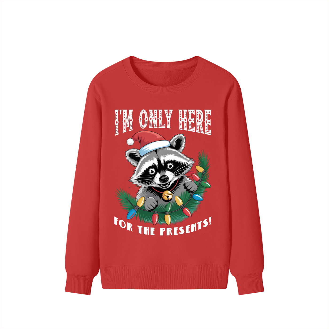 Christmas,Fun,Raccoon,Presents 