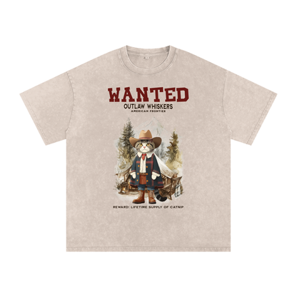 Cat,Outlaw,American Frontier
