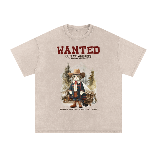 Cat,Outlaw,American Frontier