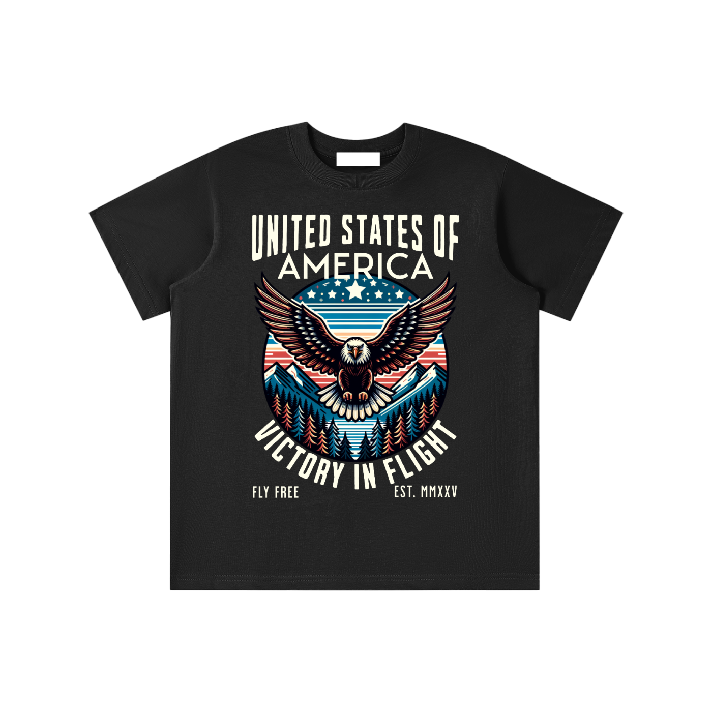 USA,Eagle,Victory,Flight 