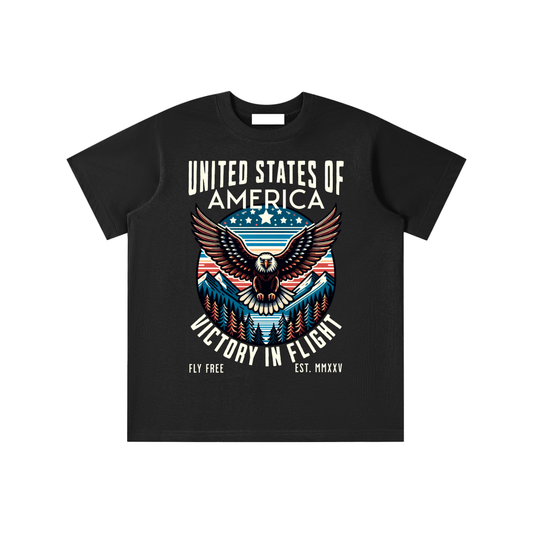 USA,Eagle,Victory,Flight 