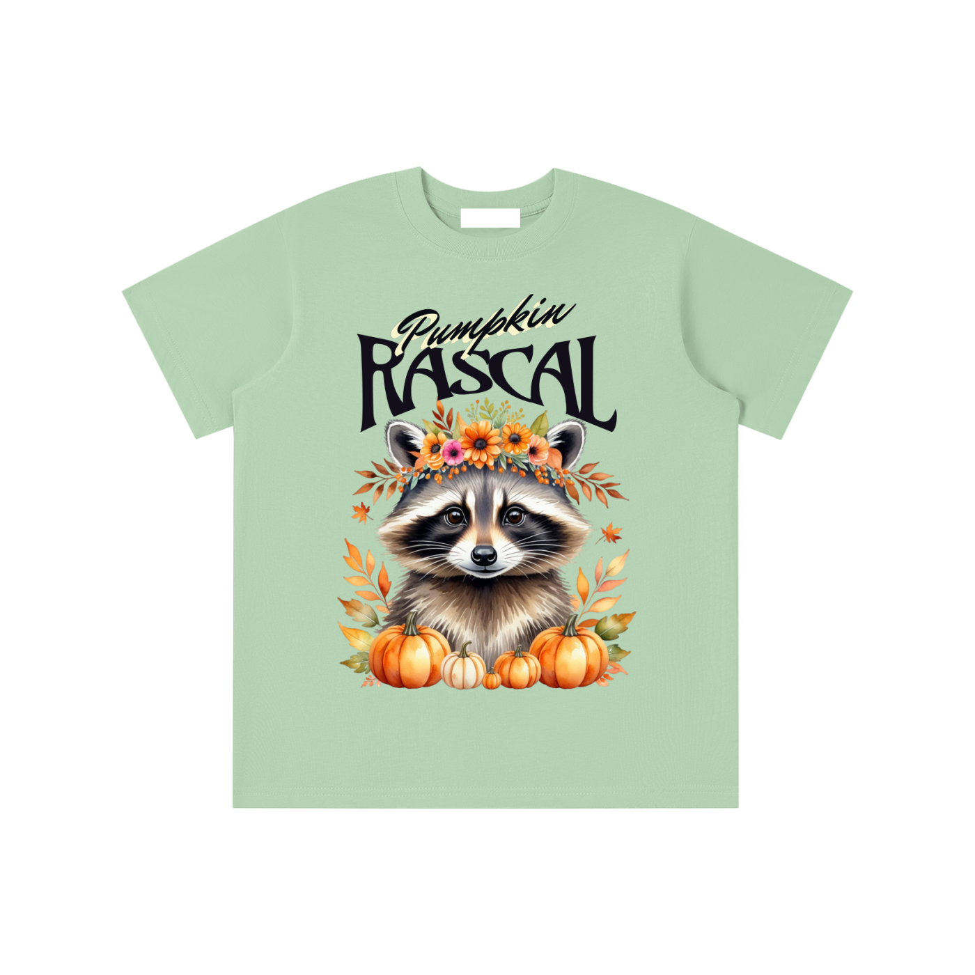 Autumn,Fall,Rascal,Raccoon,Cute