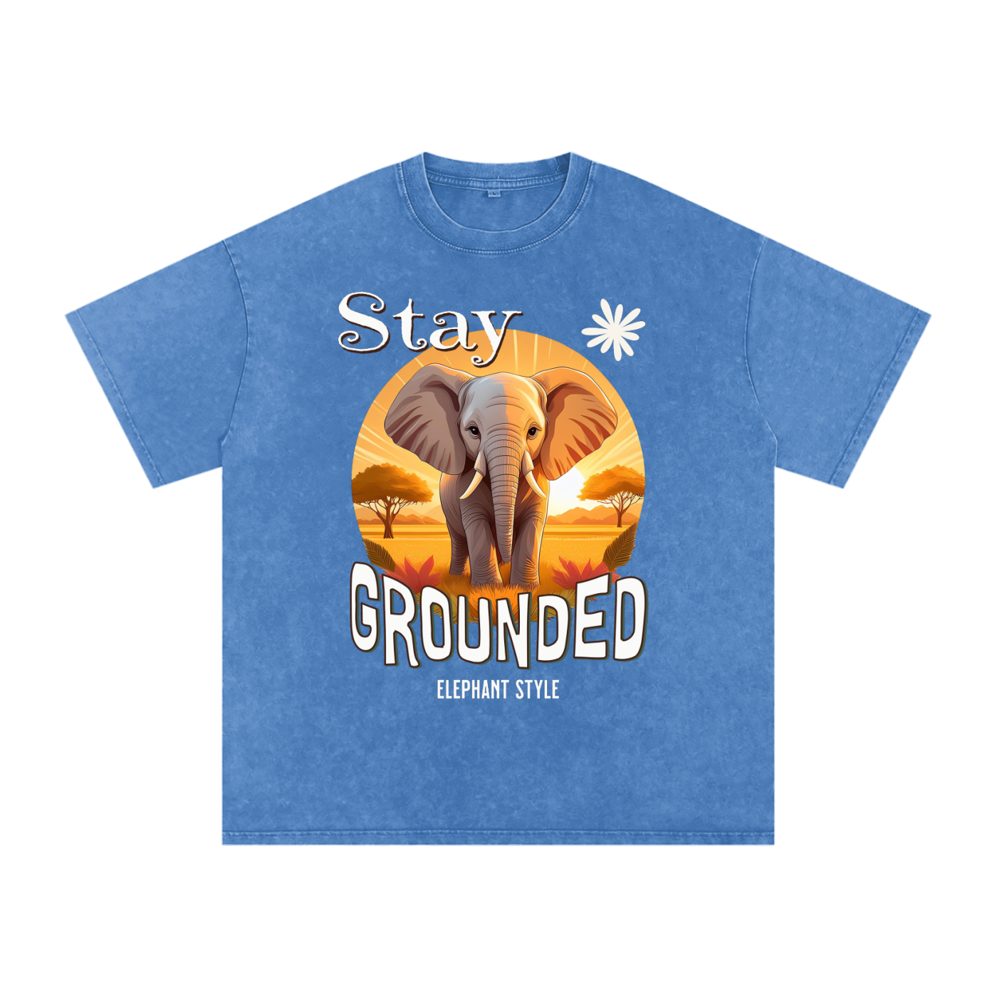 Elephant,Stay Grounded