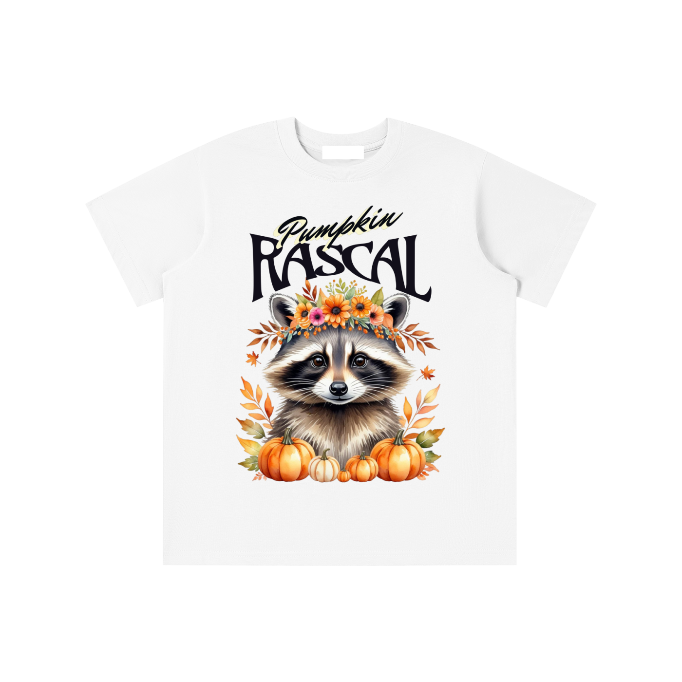 Autumn,Fall,Rascal,Raccoon,Cute
