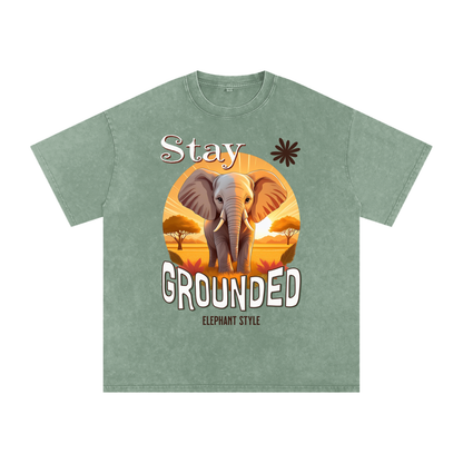 Elephant,Stay Grounded