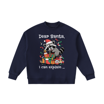 Christmas,Raccoon,Mischief,Presents,Kids